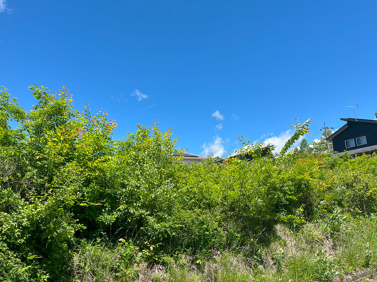 西軽井沢　陽当たり抜群　御影用水も徒歩圏