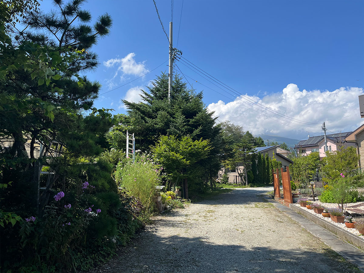 中軽井沢　バランス抜群の100坪平坦地