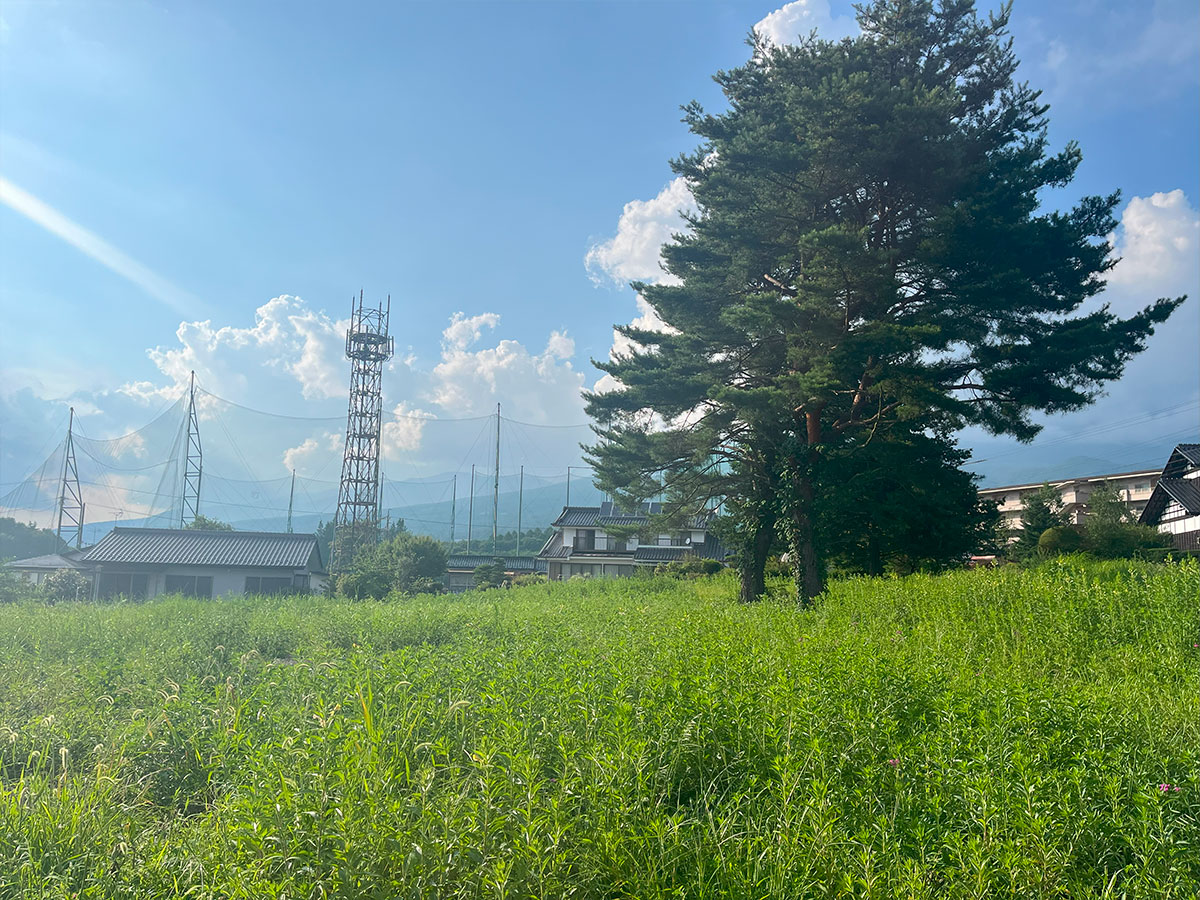西軽井沢　旧中山道沿い全5区画　建築条件なし