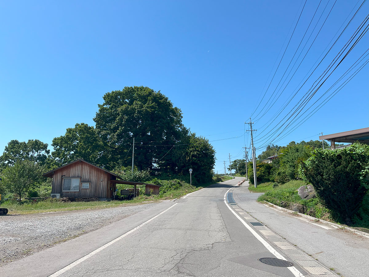 塩野　佐久平と八ヶ岳を見渡す眺望地！　421坪