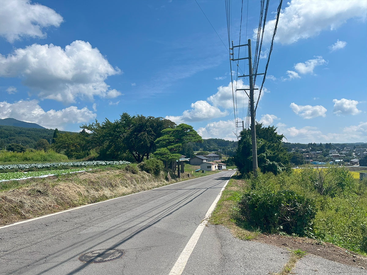 塩野 お寺の麓のパノラマビュー(浅間山×畑×八ヶ岳)